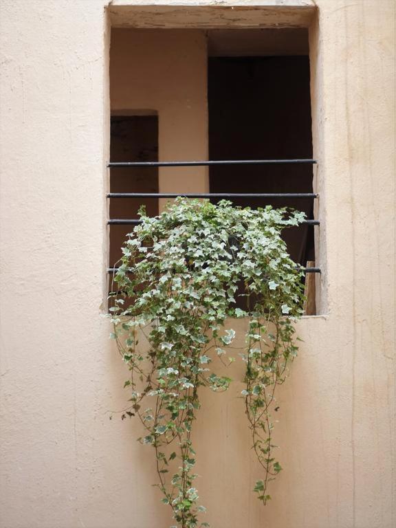 Chemin Du Muguet Daire Bordeaux Dış mekan fotoğraf